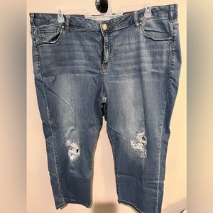 Lane Bryant capri pants size 24